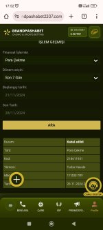 Screenshot_2024-11-28-17-52-56-314_com.android.chrome.jpg