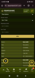 Screenshot_2024-11-29-08-38-38-070_com.android.chrome.jpg