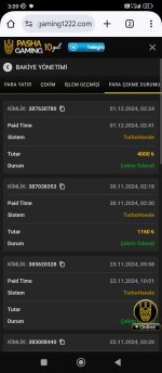 Screenshot_2024-12-01-03-09-03-066_com.android.chrome.jpg