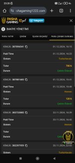 Screenshot_2024-12-01-23-20-27-379_com.android.chrome.jpg