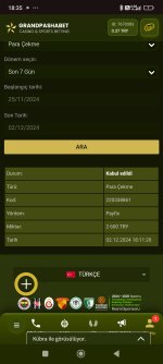 Screenshot_2024-12-02-18-35-52-086_com.android.chrome.jpg