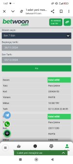 Screenshot_2024-12-03-01-47-08-554_com.android.chrome.jpg