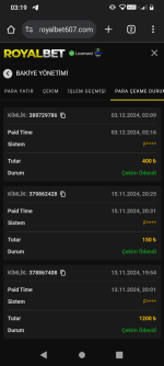 Screenshot_20241203-031940.png