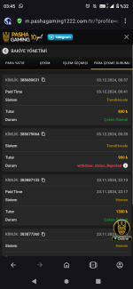 Screenshot_20241203-034545.png