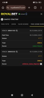 Screenshot_2024-12-03-04-56-36-612_com.android.chrome.jpg