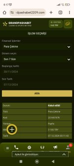 Screenshot_2024-12-07-00-17-06-456_com.android.chrome.jpg