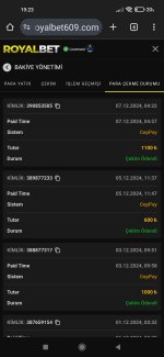 Screenshot_2024-12-07-19-23-01-355_com.android.chrome.jpg