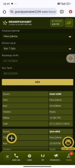 Screenshot_2024-12-08-20-49-36-171_com.android.chrome.jpg