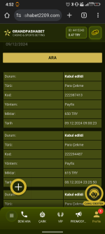 Screenshot_20241209-165223.png