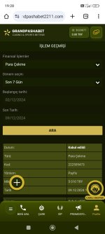 Screenshot_2024-12-09-19-28-21-214_com.android.chrome.jpg