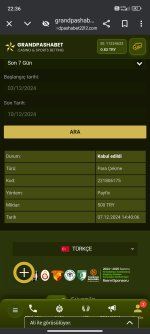 Screenshot_2024-12-10-22-36-28-177_com.android.chrome.jpg