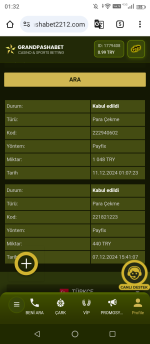 Screenshot_20241211013203.png