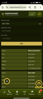Screenshot_2024-12-11-02-19-58-467_com.android.chrome.jpg