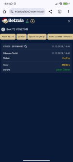 Screenshot_2024-12-11-18-14-40-630_com.android.chrome.jpg