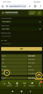 Screenshot_2024-12-11-21-11-06-354_com.android.chrome.jpg