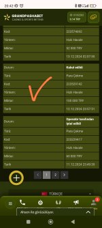 Screenshot_2024-12-13-20-42-31-577_com.android.chrome-edit.jpg
