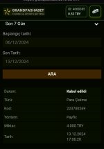 Screenshot_20241213_211225_Samsung Internet~2.jpg