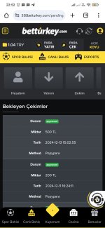 Screenshot_2024-12-13-22-52-11-373_com.android.chrome.jpg