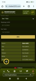 Screenshot_2024-12-14-17-25-00-511_com.android.chrome.jpg