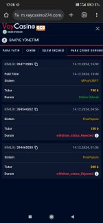 Screenshot_2024-12-14-17-28-11-677_com.android.chrome.jpg