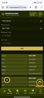 Screenshot_2024-12-14-19-05-16-733_com.android.chrome.jpg