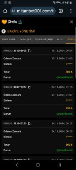Screenshot_20241215_015753_Chrome.jpg