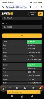 Screenshot_2024-12-15-16-18-38-428_com.android.chrome.jpg
