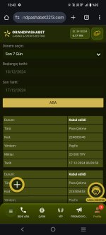 Screenshot_20241217_134219.jpg