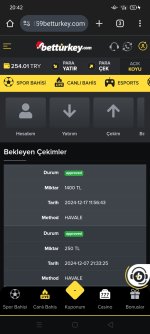 Screenshot_2024-12-17-20-42-36-49.jpg