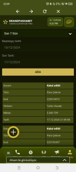 Screenshot_20241217-220943.jpg