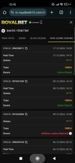 Screenshot_2024-12-17-22-42-54-789_com.android.chrome.jpg