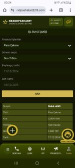 Screenshot_20241218_002434_Chrome.jpg