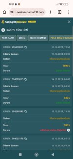 Screenshot_2024-12-18-19-24-39-449_com.android.chrome.jpg