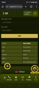 Screenshot_20241220-042046.png