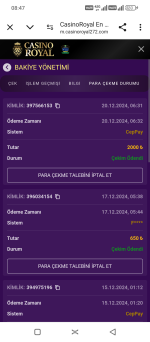 Screenshot_20241220-084727.png