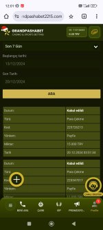 Screenshot_2024-12-20-12-01-29-794_com.android.chrome.jpg