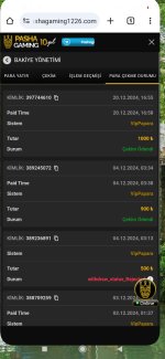 Screenshot_2024-12-20-22-21-41-831_com.miui.home.jpg