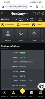 Screenshot_2024-12-21-01-28-37-633_com.android.chrome.jpg