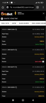 Screenshot_2024-12-23-11-01-51-073_com.android.chrome.jpg