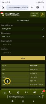 Screenshot_2024-12-23-21-22-19-067_com.android.chrome.jpg