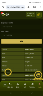 Screenshot_20241223-230945.png