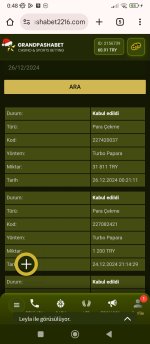 Screenshot_2024-12-26-00-48-39-579_com.android.chrome.jpg