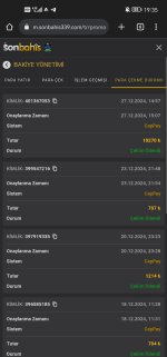Screenshot_20241227_193521_com.android.chrome.jpg