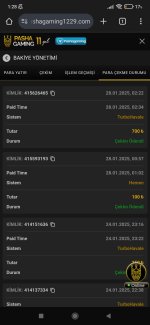 Screenshot_2025-01-29-01-28-56-524_com.android.chrome.jpg