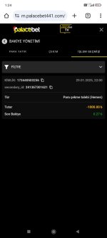 Screenshot_2025-01-30-01-24-41-107_com.android.chrome.jpg