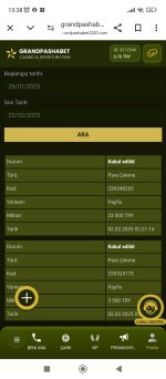 Screenshot_2025-02-02-13-38-38-882_com.android.chrome.jpg