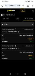 Screenshot_20250204_174915_com.android.chrome.jpg