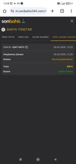Screenshot_2025-02-20-13-00-08-984_com.android.chrome.jpg