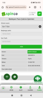 Screenshot_2025-02-25-01-02-48-144_com.android.chrome.jpg