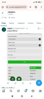 Screenshot_2025-03-13-20-56-40-228_com.android.chrome.jpg